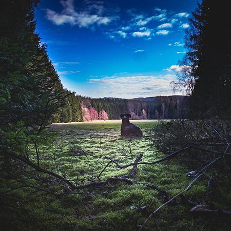 Fewo An Der Zwaens Stollberg Exteriér fotografie