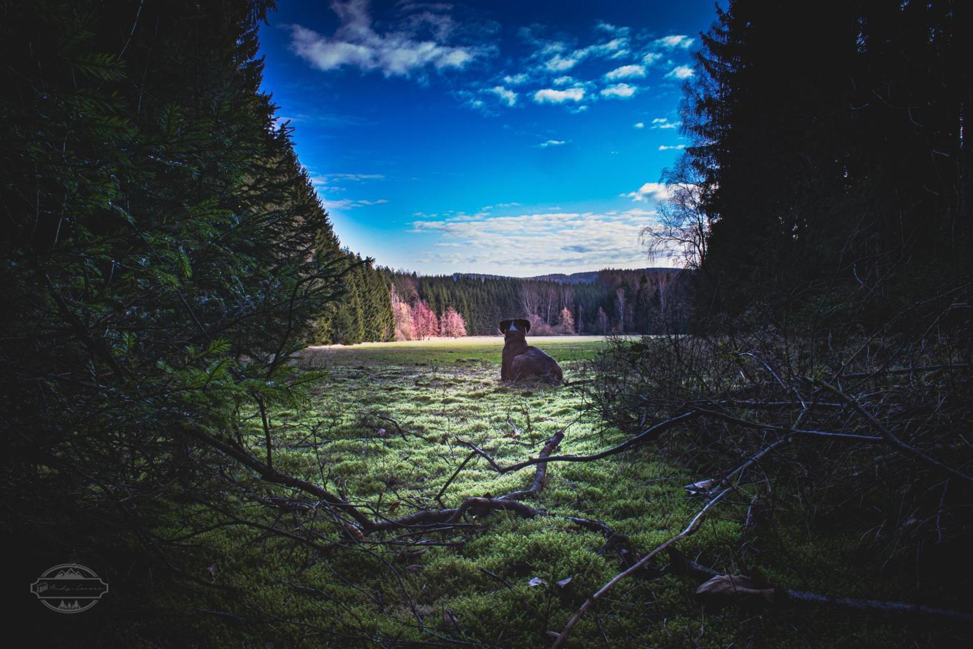 Fewo An Der Zwaens Stollberg Exteriér fotografie